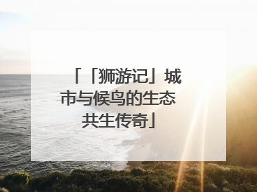 「狮游记」城市与候鸟的生态共生传奇