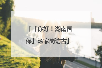 「你好！湖南国保」汤家岗访古