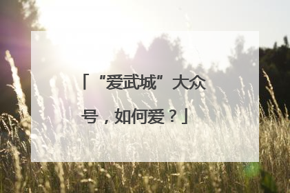 “爱武城”大众号，如何爱？
