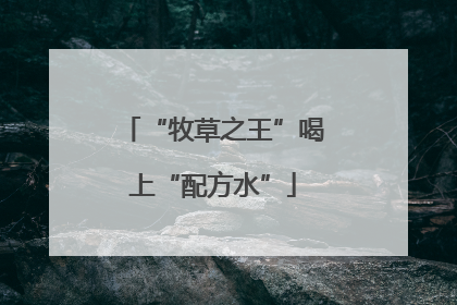 “牧草之王”喝上“配方水”