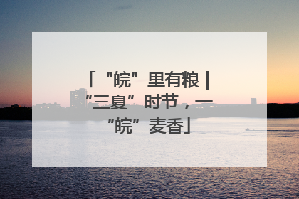 “皖”里有粮｜“三夏”时节，一“皖”麦香
