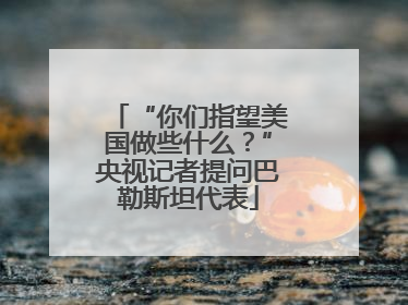 “你们指望美国做些什么？”央视记者提问巴勒斯坦代表