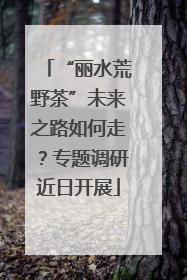 “丽水荒野茶”未来之路如何走？专题调研近日开展