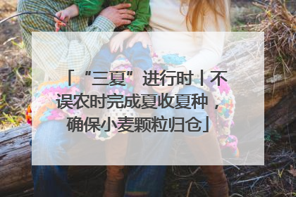 “三夏”进行时丨不误农时完成夏收夏种，确保小麦颗粒归仓