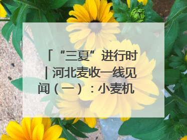 “三夏”进行时｜河北麦收一线见闻（一）：小麦机收减损“竞技” 农机高手麦田“过招”