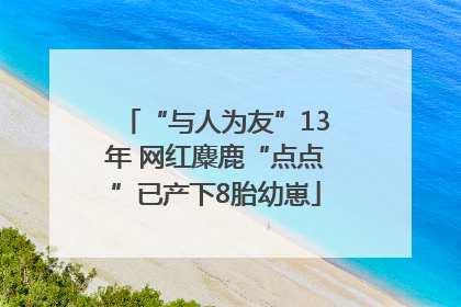 “与人为友”13年 网红麋鹿“点点”已产下8胎幼崽
