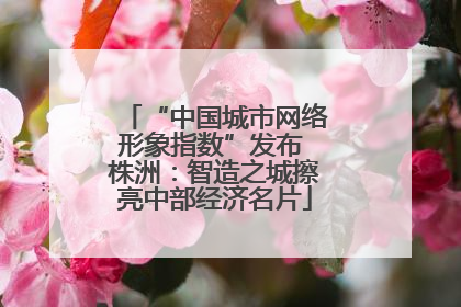 “中国城市网络形象指数”发布 株洲：智造之城擦亮中部经济名片