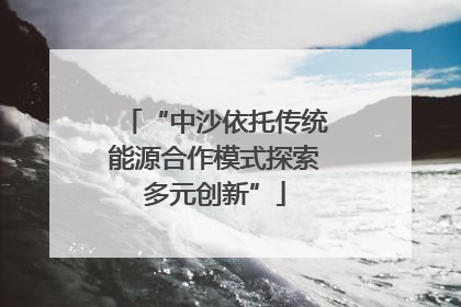 “中沙依托传统能源合作模式探索多元创新”