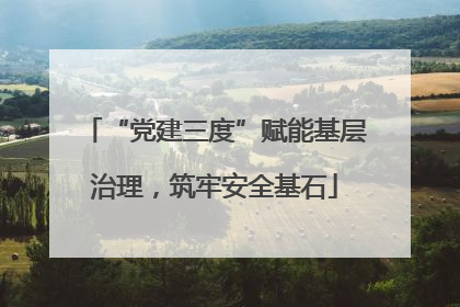 “党建三度”赋能基层治理，筑牢安全基石