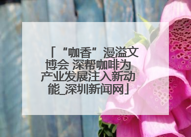 “咖香”漫溢文博会 深帮咖啡为产业发展注入新动能_深圳新闻网
