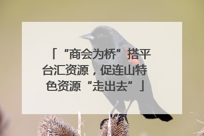 “商会为桥”搭平台汇资源，促连山特色资源“走出去”