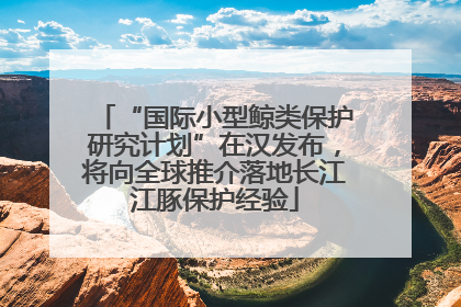 “国际小型鲸类保护研究计划”在汉发布，将向全球推介落地长江江豚保护经验