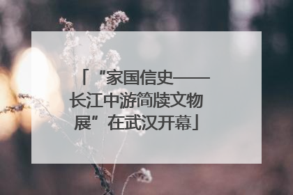 “家国信史——长江中游简牍文物展”在武汉开幕