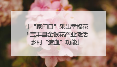 “家门口”采出幸福花！宝丰县金银花产业激活乡村“造血”功能