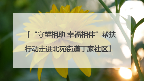 “守望相助 幸福相伴”帮扶行动走进北苑街道丁家社区