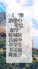 “墨韵童心・笔绘韶华”陵城区首届中小学生书法展隆重开幕