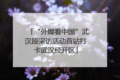 “外媒看中国”武汉段采访活动首站打卡武汉经开区