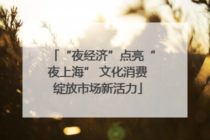 “夜经济”点亮“夜上海” 文化消费绽放市场新活力