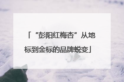 “彭阳红梅杏”从地标到金标的品牌蜕变