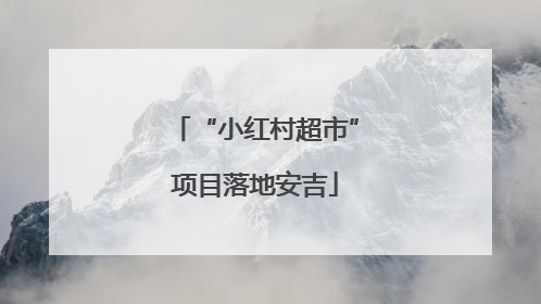 “小红村超市”项目落地安吉