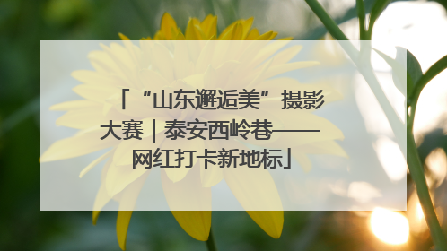 “山东邂逅美”摄影大赛｜泰安西岭巷——网红打卡新地标