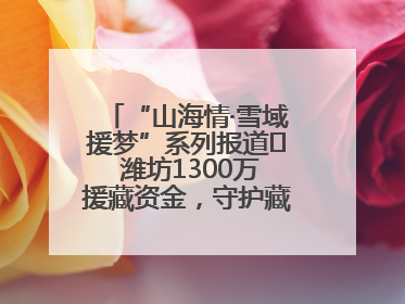 “山海情·雪域援梦”系列报道⑪ 潍坊1300万援藏资金，守护藏区群众健康“最后一公里”
