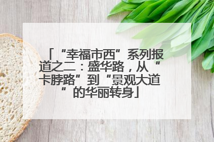 “幸福市西”系列报道之二：盛华路，从“卡脖路”到“景观大道”的华丽转身