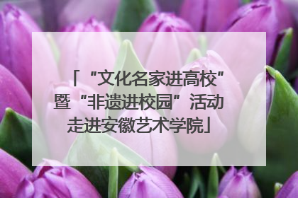 “文化名家进高校”暨“非遗进校园”活动走进安徽艺术学院