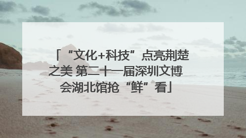“文化+科技”点亮荆楚之美 第二十一届深圳文博会湖北馆抢“鲜”看