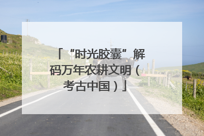 “时光胶囊”解码万年农耕文明（考古中国）