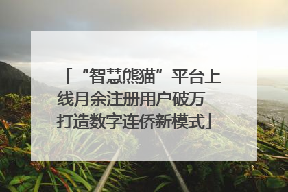 “智慧熊猫”平台上线月余注册用户破万 打造数字连侨新模式