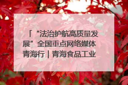 “法治护航高质量发展”全国重点网络媒体青海行｜青海食品工业协会：架起“青字号”美食的产业化桥梁