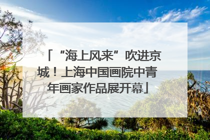 “海上风来”吹进京城！上海中国画院中青年画家作品展开幕