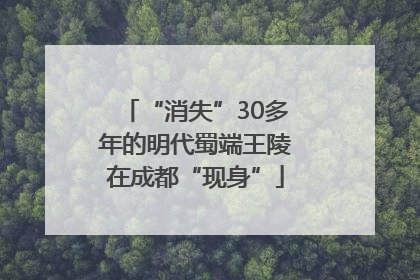 “消失”30多年的明代蜀端王陵在成都“现身”