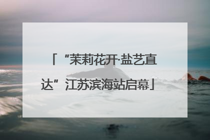 “茉莉花开·盐艺直达”江苏滨海站启幕