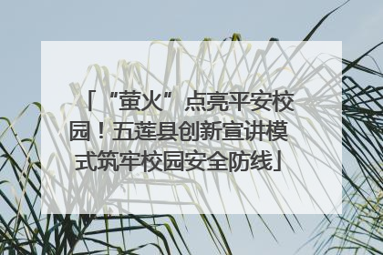 “萤火”点亮平安校园！五莲县创新宣讲模式筑牢校园安全防线