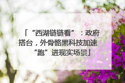 “西湖链链看”：政府搭台，外骨骼黑科技加速“跑”进现实场景