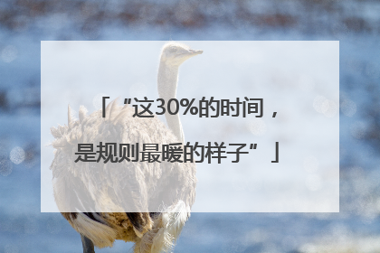 “这30%的时间，是规则最暖的样子”