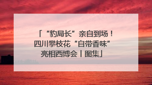 “豹局长”亲自到场！四川攀枝花“自带香味”亮相西博会丨图集