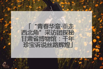 “青春华章·重走西北角”采访团探秘甘肃省博物馆：千年珍宝诉说丝路辉煌