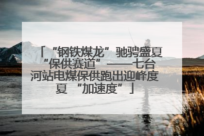 “钢铁煤龙”驰骋盛夏 “保供赛道”——七台河站电煤保供跑出迎峰度夏 “加速度”