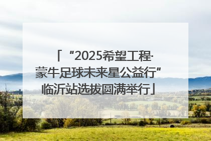 “2025希望工程·蒙牛足球未来星公益行”临沂站选拔圆满举行