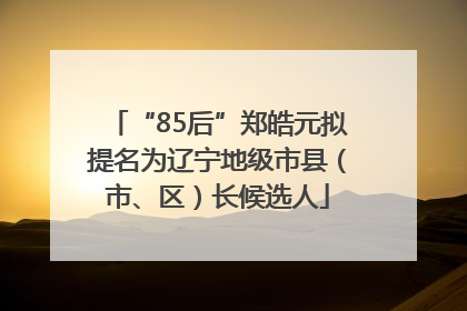 “85后”郑皓元拟提名为辽宁地级市县（市、区）长候选人