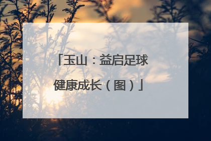 玉山：益启足球 健康成长（图）