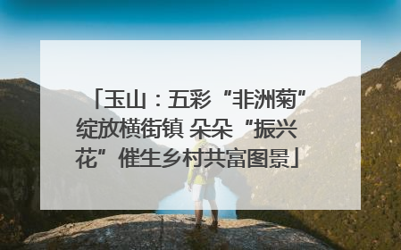 玉山：五彩“非洲菊”绽放横街镇 朵朵“振兴花”催生乡村共富图景