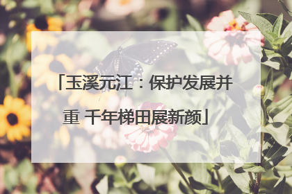 玉溪元江：保护发展并重 千年梯田展新颜