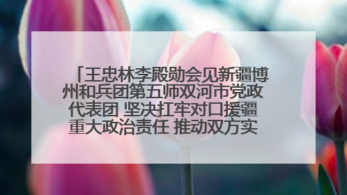 王忠林李殿勋会见新疆博州和兵团第五师双河市党政代表团 坚决扛牢对口援疆重大政治责任 推动双方实现优势互补务实合作
