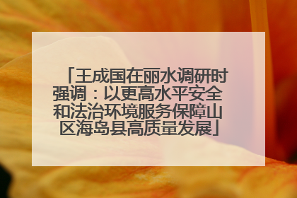 王成国在丽水调研时强调：以更高水平安全和法治环境服务保障山区海岛县高质量发展