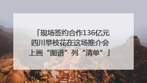 现场签约合作136亿元 四川攀枝花在这场推介会上画“图谱”列“清单”