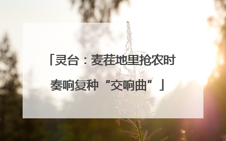 灵台：麦茬地里抢农时 奏响复种“交响曲”
